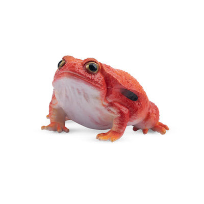 Toymany Grenouille tomate