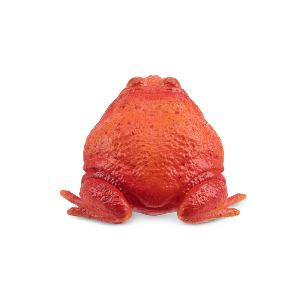 Toymany Grenouille tomate