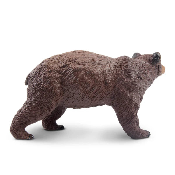 Toymany Ours brun marchant