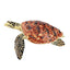 Toymany Tortue de Mer imbriquée