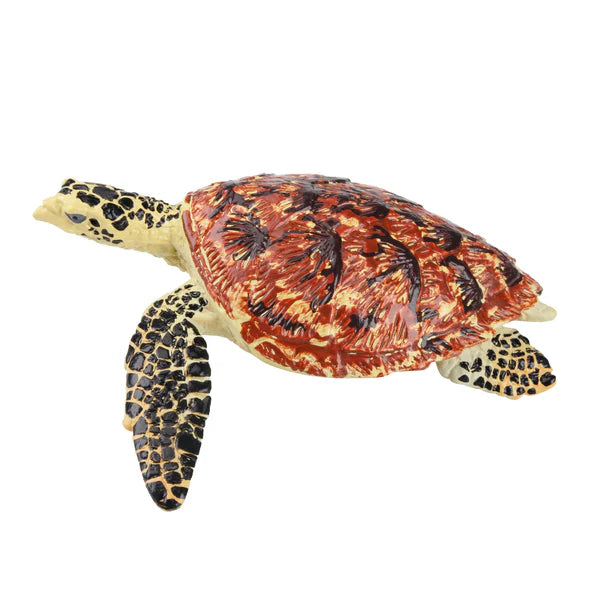 Toymany Tortue de Mer imbriquée