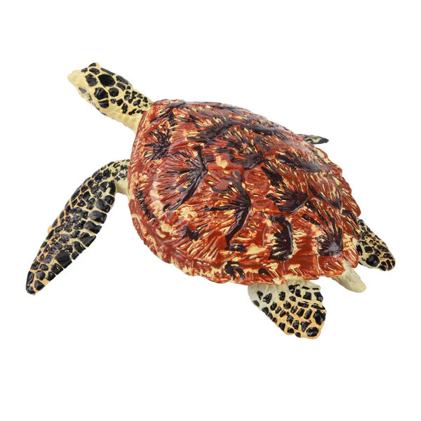 Toymany Tortue de Mer imbriquée