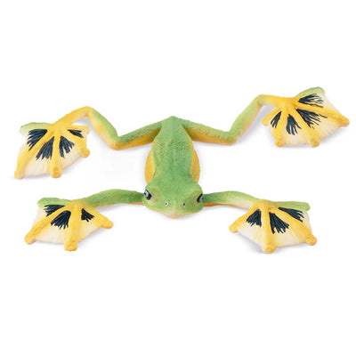 Toymany Grenouille volante de Wallace