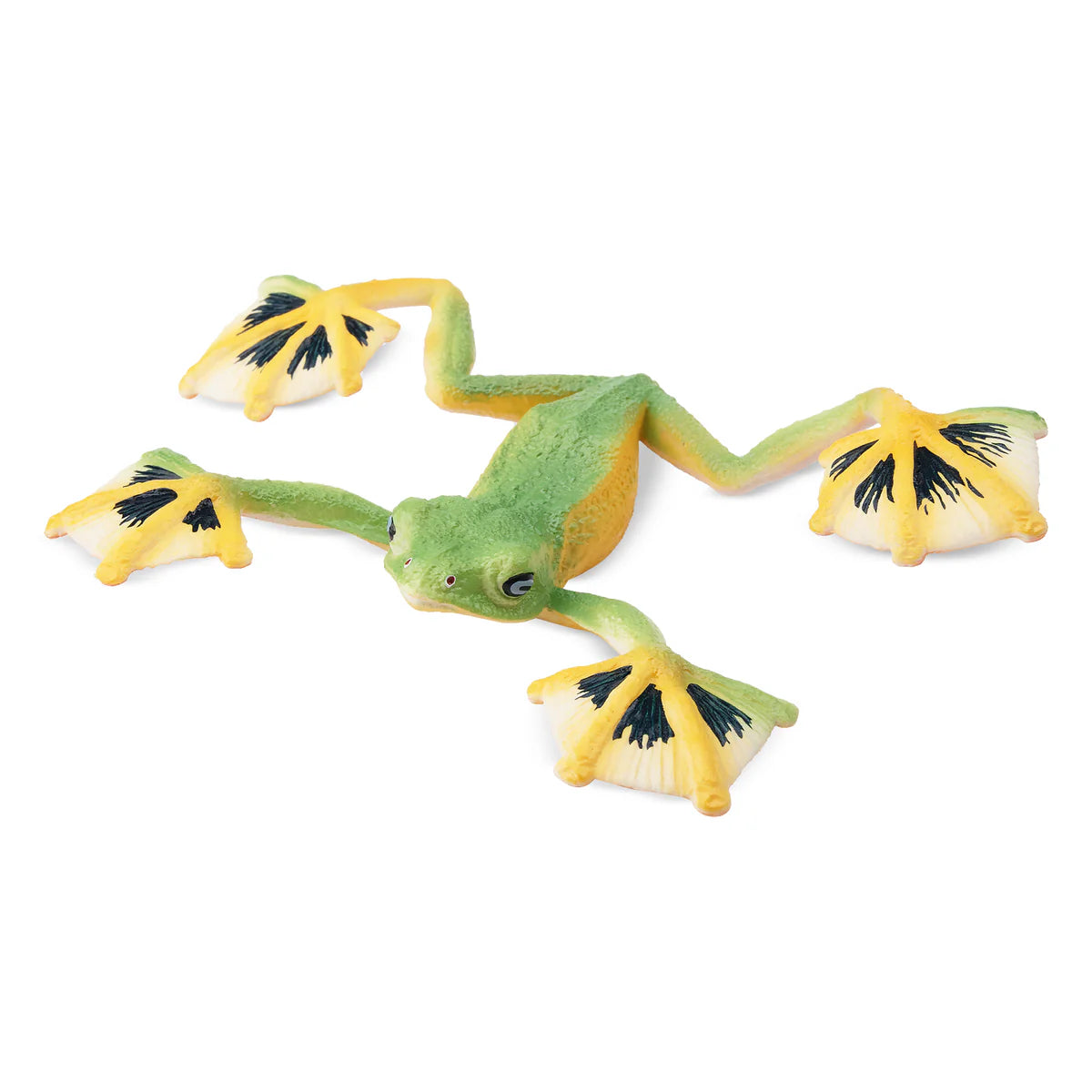 Toymany Grenouille volante de Wallace