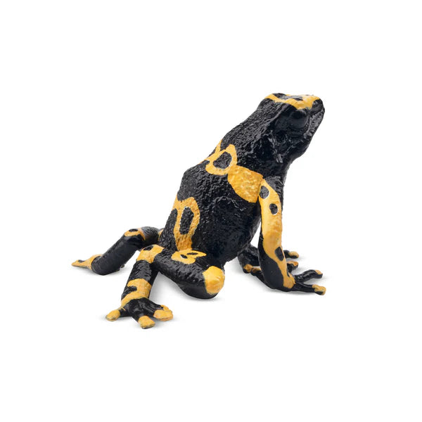 Toymany Grenouille venimeuse à bandes jaunes