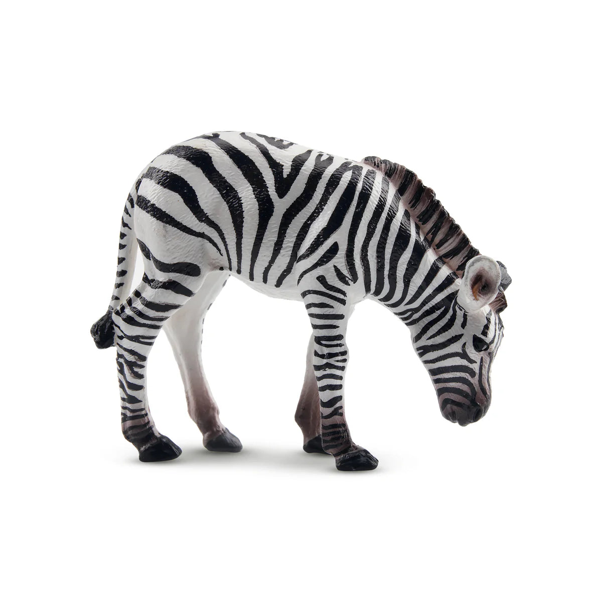 Toymany Poulain zèbre