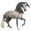 Breyer Traditionnel (1:9) 90206 - Anamar
