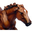 Breyer Traditional (1:9) 1345 - Secretariat