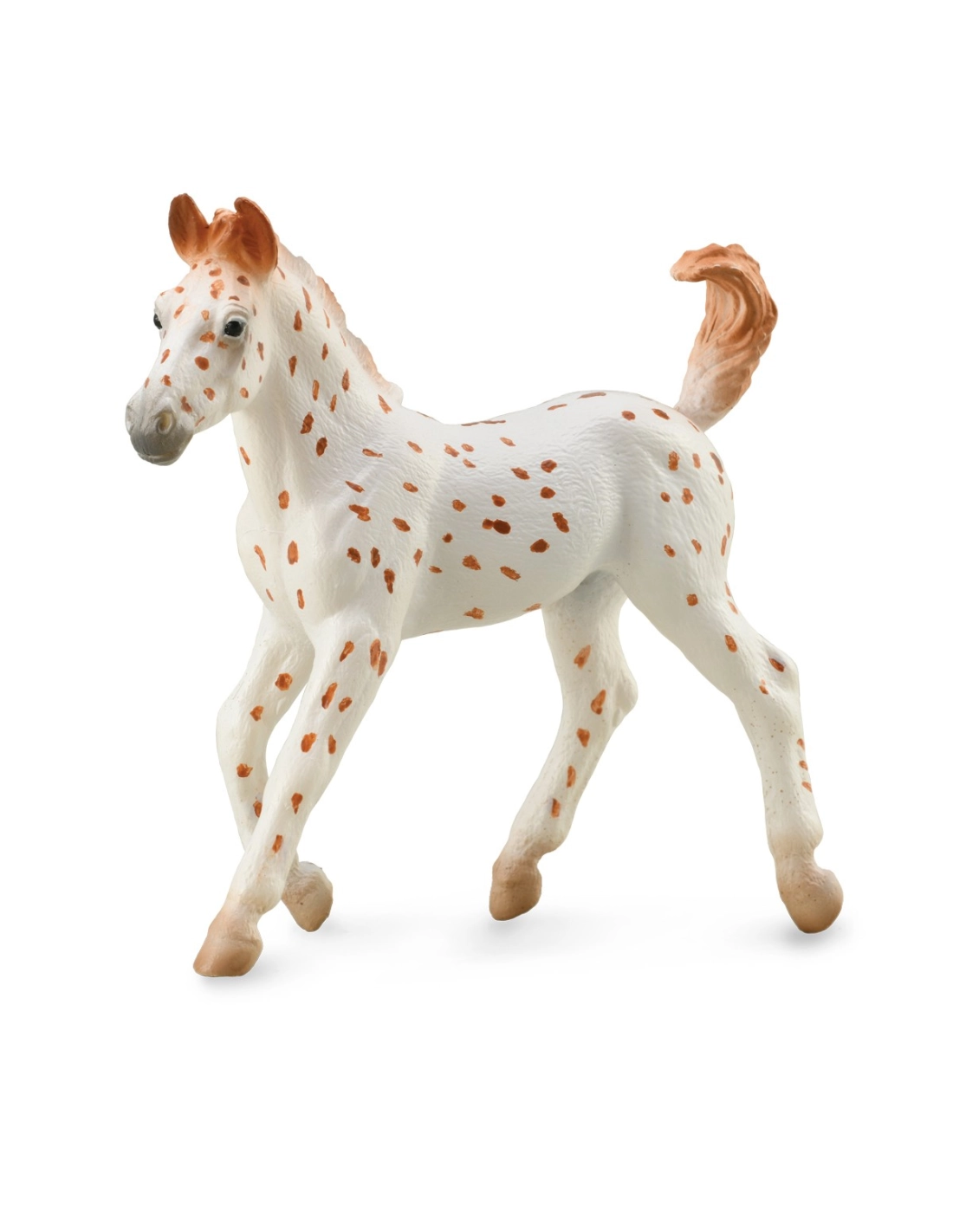 CollectA 88848 Poulain Knabstrupper