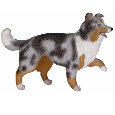 WIA Nana - Berger Australien Merle bleu (1:20)