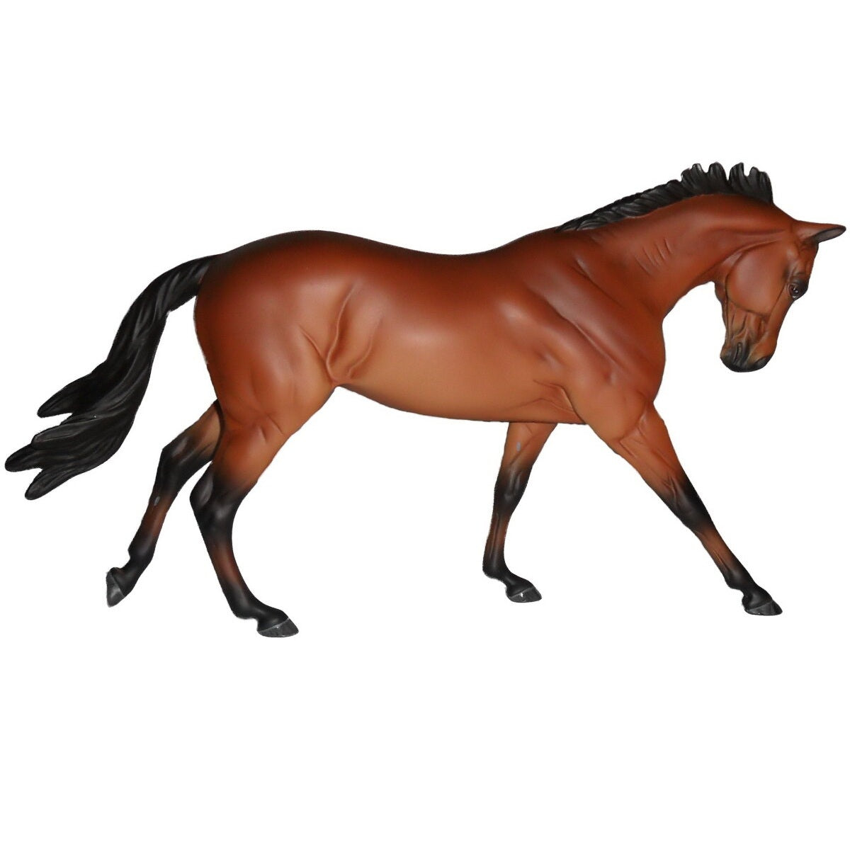 WIA Jument croisée pur-sang - Fair Lady Bai (Résine)